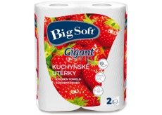 Big Soft Gigant ręczniki papierowe 80 ręczników 2 sztuki
