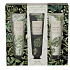 Heathcote & Ivory Tender Palm vyživující krém na ruce a nehty 3 x 30 ml, kosmetická sada
