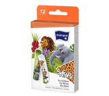 Matopat Safari Náplast barevná pro děti 19 x 76 mm 12 kusů