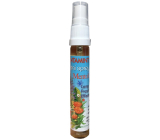 Bione Cosmetics Dentamint Mentol Long Fresh Effect odświeżający spray 27 ml