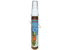 Bione Cosmetics Dentamint Mentol Long Fresh Effect odświeżający spray 27 ml
