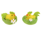 Kurczak filcowy w gnieździe 8 cm, różne rodzaje