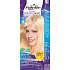 Schwarzkopf Palette Intensive Color Creme barva na vlasy odstín N12 Ledový světle plavý