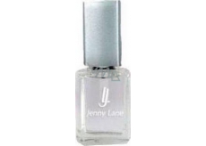 Jenny Lane Pielęgnacja paznokci Lśniący top coat 14 ml