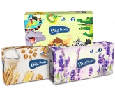 Big Soft Deluxe kosmetické papírové ubrousky 2 vrstvé v krabičce 100 kusů