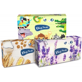 Big Soft Deluxe kosmetické papírové ubrousky 2 vrstvé v krabičce 100 kusů Big Soft Deluxe kosmetické papírové ubrousky 2 vrstvé v krabičce 100 kusů