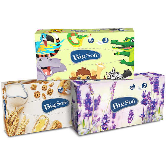 Big Soft Deluxe kosmetické papírové ubrousky 2 vrstvé v krabičce 100 kusů