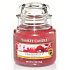 Yankee Candle Cranberry Ice - Brusinky na ledu vonná svíčka Classic malá sklo 104 g