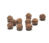 Rudraksha naturalny koralik 7 mm, 10 sztuk