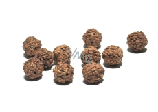 Rudraksha naturalny koralik 7 mm, 10 sztuk