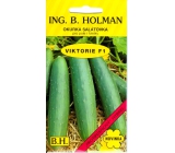 Holman F1 Viktoria ogórki sałatowe 1,5 g