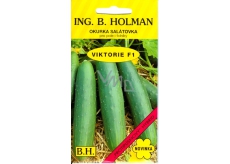 Holman F1 Viktoria ogórki sałatowe 1,5 g