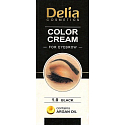 Delia Cosmetics Color Cream krem do brwi z olejem arganowym 1.0 Czarne 15 ml + 15 ml