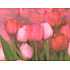 Nekupto Dárková kraftová taška 23 x 18 x 10 cm Tulipány 1 kus