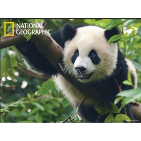 Prime3D magnet - Panda 9 x 7 cm