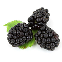 Vidal Berries & Musk tekuté mýdlo na ruce 300 ml