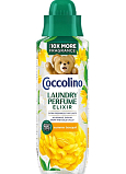 Coccolino Summer Bouquet perfum do prania, 20 prań, 460 ml