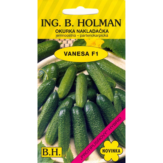Holman F1 Vanesa okurky nakladačky jemnoostná - partenokarpická 1,5 g