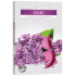 Bispol Aura Lilac - Šeřík vonné čajové svíčky 6 kusů