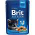 Brit Premium Kuřecí kousky v omáčce kompletní krmivo pro koťata kapsička 100 g