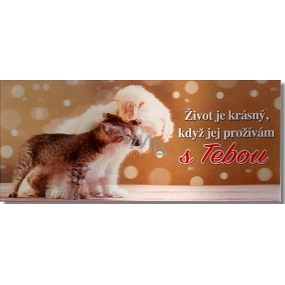 Albi 3D Belgická mléčná čokoláda S Tebou 50 g, 6,2 x 13,cm