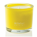 Millefiori Milano Natural Pompelmo - Grep Vonná svíčka hoří až 60 hodin 180 g
