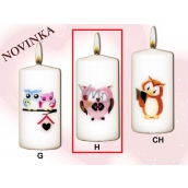 Lima Sowy Różowa sowa świeczka z obtiskem biała walec 50 x 100 mm 1 sztuka