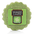 Yankee Candle Halloween Forbidden Apple - Zakázané jablko vonný vosk do aromalampy 22 g