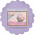 Yankee Candle Sweet Morning Rose - Sladká ranní růže vonný vosk do aromalampy 22 g