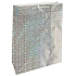 Nekupto Dárková papírová taška hologram 33 x 46 cm Stříbrná
