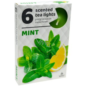 Świeczki typu Tea Lights Mięta zapachowa 6 sztuk