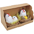 Kurczak z jajkiem w gnieździe 5,5 cm