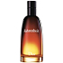 Christian Dior Fahrenheit toaletní voda pro muže 30 ml