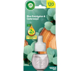 Air Wick Essential Oils Blue Eucalyptus & Cedarwood - Eukaliptus i drewno cedrowe elektroniczny odświeżacz powietrza wymienna wkład 19 ml