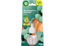 Air Wick Essential Oils Blue Eucalyptus & Cedarwood - Eukaliptus i drewno cedrowe elektroniczny odświeżacz powietrza wymienna wkład 19 ml