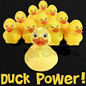 Duck Power dezinfekční Wc tekutý čistič 750 ml