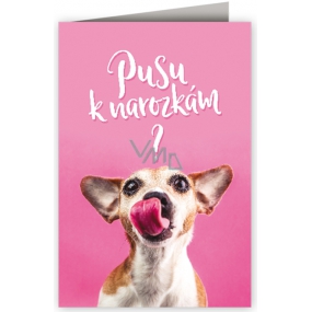 Nekupto Přání k narozeninám Pusu k narozeninám? 3455 F