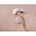 Furla Autentica perfumowana woda dla kobiet 50 ml