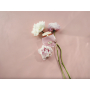 Furla Autentica perfumowana woda dla kobiet 50 ml