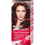 Garnier Color Sensation farba do włosów 4.60 Intensywna ciemna czerwień