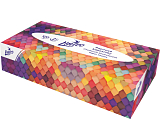 Linteo 2-warstwowe chusteczki papierowe, pudełko 100 szt.