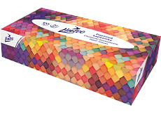 Linteo 2-warstwowe chusteczki papierowe, pudełko 100 szt.