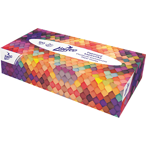 Linteo 2-warstwowe chusteczki papierowe, pudełko 100 szt.