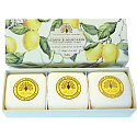 English Soap Citron & Mandarinka přírodní parfémované mýdlo s bambuckým máslem 3 x 100 g