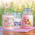 Yankee Candle Fresh Cut Roses - Čerstvě nařezané růže vonná svíčka Décor malá 198 g