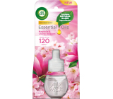 Air Wick Magnolia & Czerwiń napełniacz 19 ml