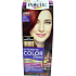 Schwarzkopf Palette Intensive Color Creme barva na vlasy odstín LRN5 Zářivý kaštan