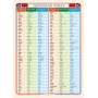 Ditipo Irregular Verbs - Nepravidelná slovesa naučná tabule angličtiny A4 21,4 x 30 x 0,1 cm
