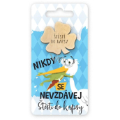 Niekupiony Kieszonkowy Obiekt Klucz Nikt się nie poddaje, szczęście do kieszeni 6 x 12 cm