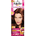 Schwarzkopf Palette Color & Gloss barva na vlasy 5 - 68